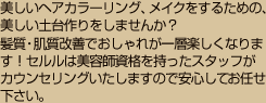 美しいヘアカラーリング、メイクをするための、美しい土台作りをしませんか？