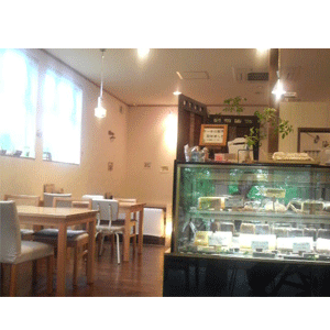 cafeshifon cafeshifon
