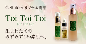 toitoitoi_series